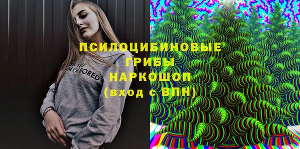 гашик Алзамай