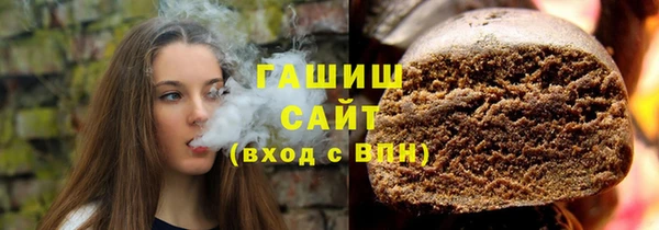 индика Сатка