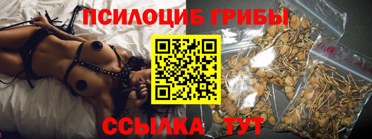 Галлюциногенные грибы MAGIC MUSHROOMS Ейск